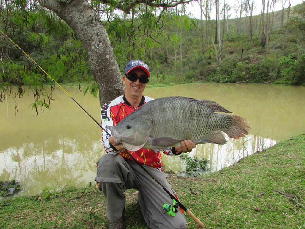 Como pescar tilápia?