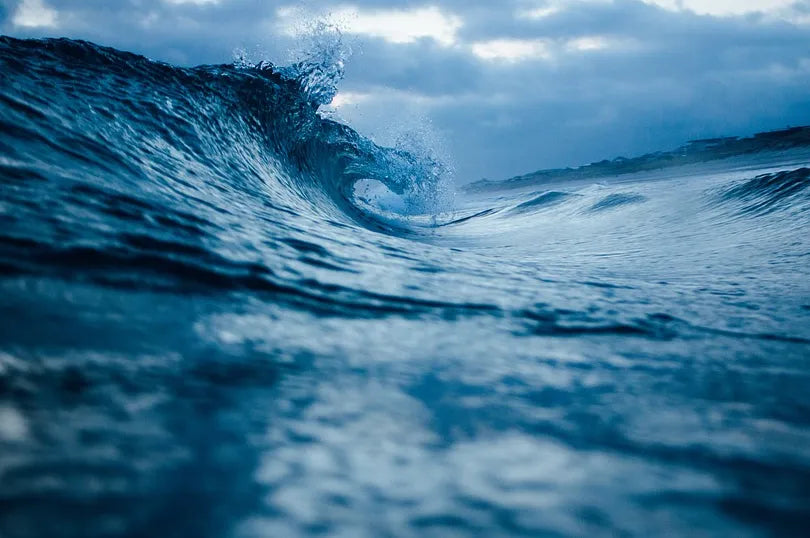 Pescar na Maré Alta ou Baixa: Qual o Melhor Momento?